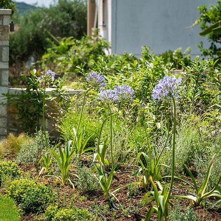 Syvota Gardens Lägenhet Exteriör bild