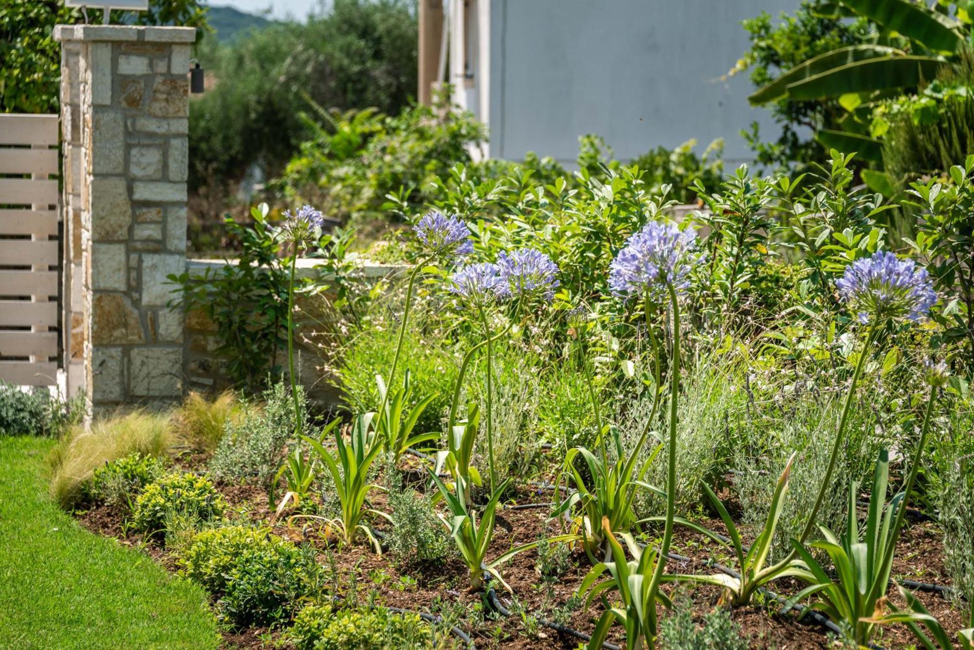 Syvota Gardens Lägenhet Exteriör bild